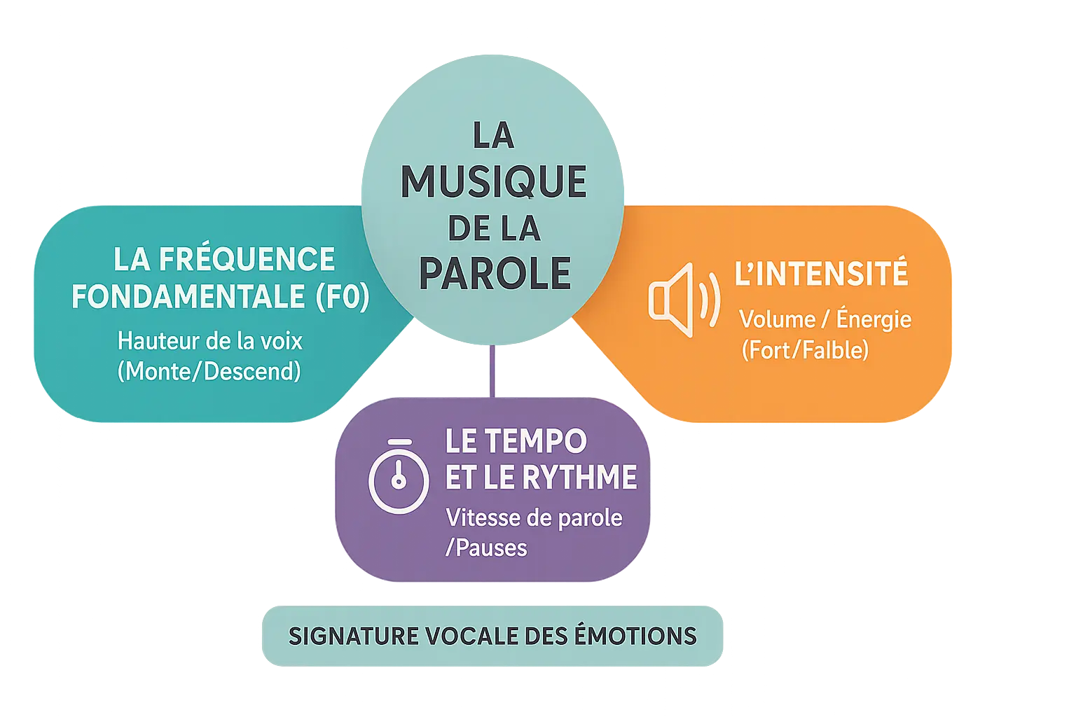 Infographie sur les paramètres de la prosodie émotionnelle